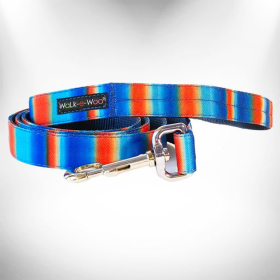 Tie Dye Dog Leads (Color: Blue/Orange, size: THIN Lead 5/8" width- 5' length)